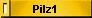 Pilz1