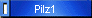 Pilz1