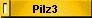Pilz3
