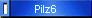 Pilz6