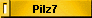 Pilz7