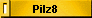 Pilz8